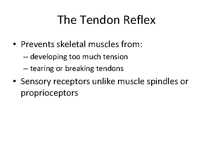 The Tendon Reflex • Prevents skeletal muscles from: – developing too much tension –