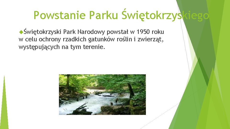 Powstanie Parku Świętokrzyskiego Świętokrzyski Park Narodowy powstał w 1950 roku w celu ochrony rzadkich