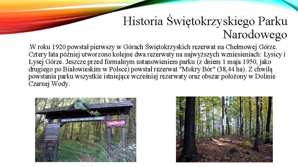 Historia Świętokrzyskiego Parku Narodowego W roku 1920 powstał pierwszy w Górach Świętokrzyskich rezerwat na