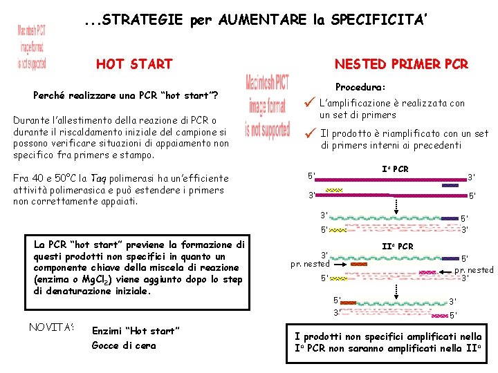 PCR REAZIONE a CATENA della POLIMERASI DNA 1