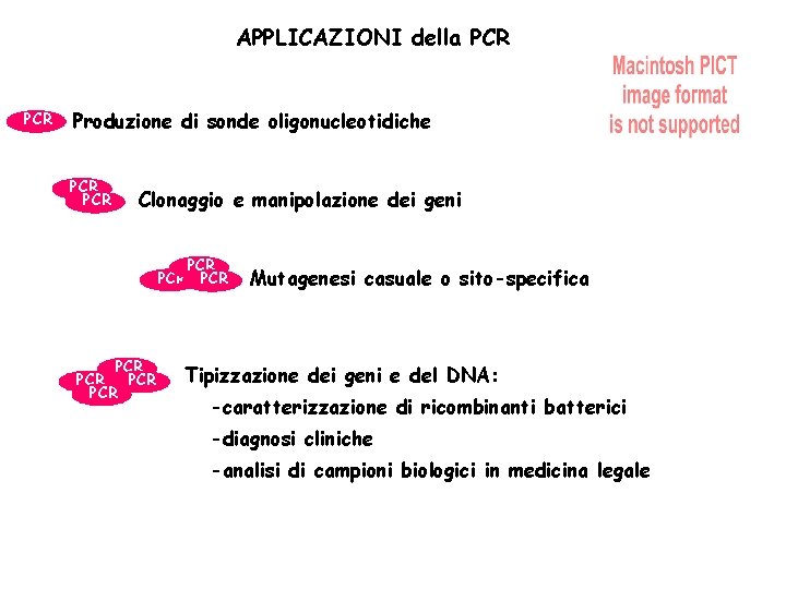 APPLICAZIONI della PCR Produzione di sonde oligonucleotidiche PCR Clonaggio e manipolazione dei geni PCR