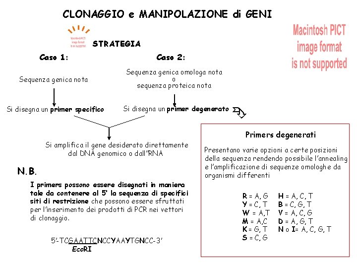 CLONAGGIO e MANIPOLAZIONE di GENI STRATEGIA Caso 1: Caso 2: Sequenza genica nota Sequenza