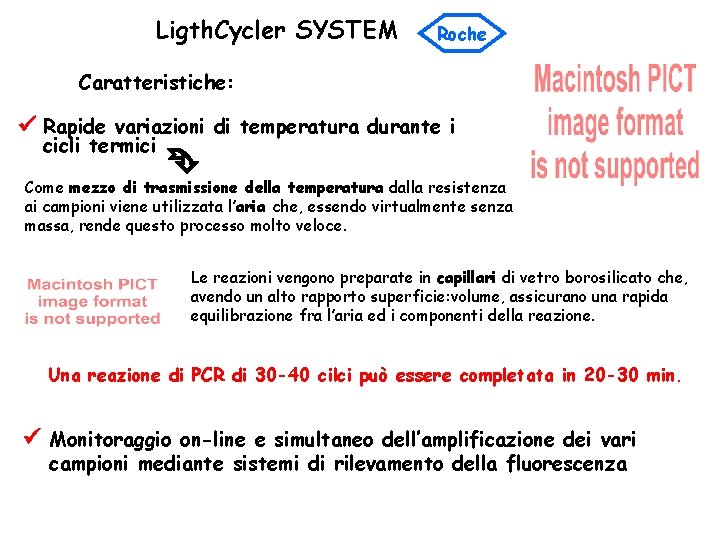 Ligth. Cycler SYSTEM Roche Caratteristiche: Rapide variazioni di temperatura durante i cicli termici Come