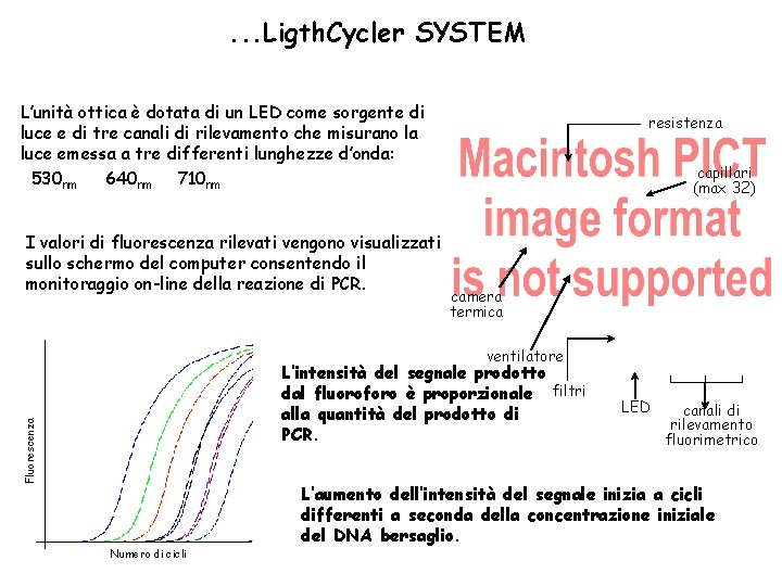 . . . Ligth. Cycler SYSTEM L’unità ottica è dotata di un LED come