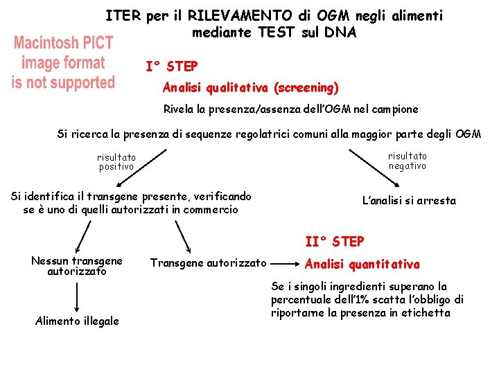 ITER per il RILEVAMENTO di OGM negli alimenti mediante TEST sul DNA I° STEP
