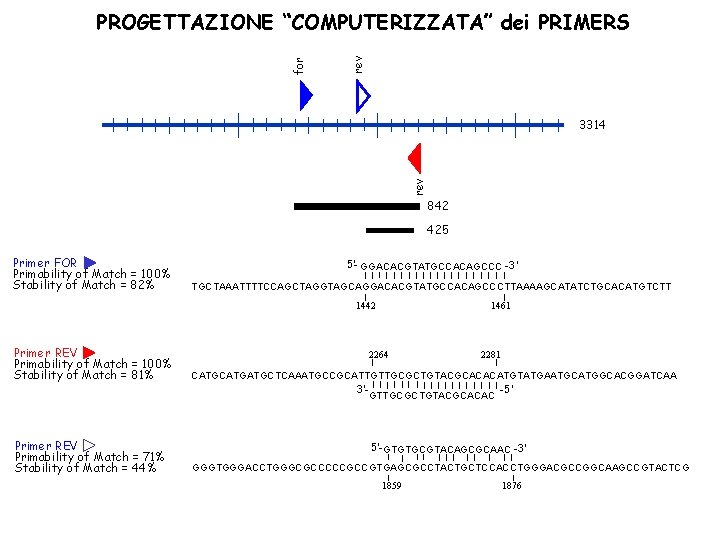 rev for PROGETTAZIONE “COMPUTERIZZATA” dei PRIMERS rev 3314 842 425 Primer FOR Primability of