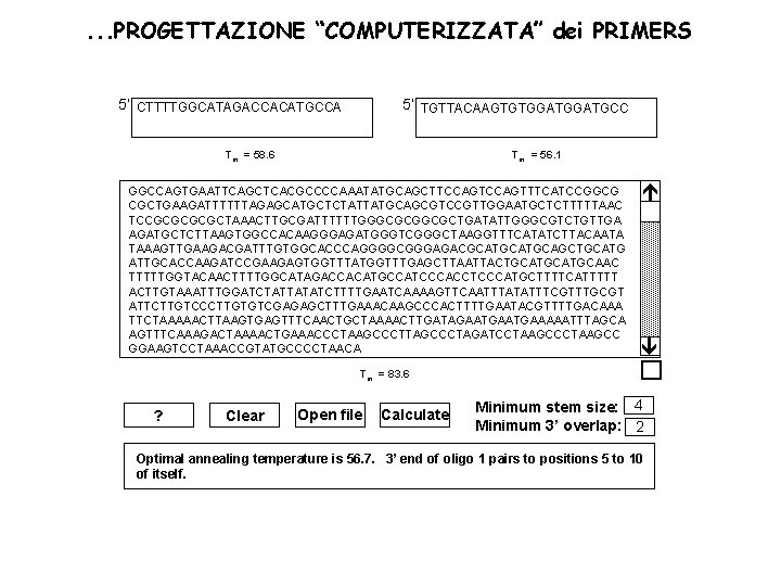 . . . PROGETTAZIONE “COMPUTERIZZATA” dei PRIMERS 5’ TGTTACAAGTGTGGATGCC 5’ CTTTTGGCATAGACCACATGCCA Tm = 56.
