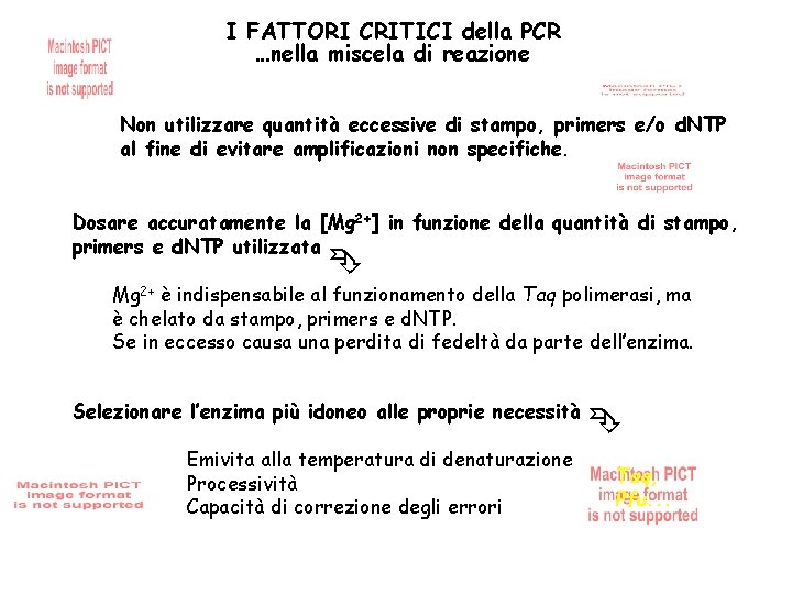I FATTORI CRITICI della PCR …nella miscela di reazione Non utilizzare quantità eccessive di