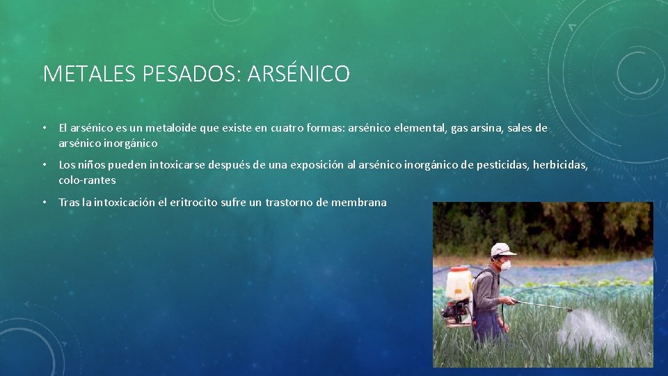 METALES PESADOS: ARSÉNICO • El arsénico es un metaloide que existe en cuatro formas: