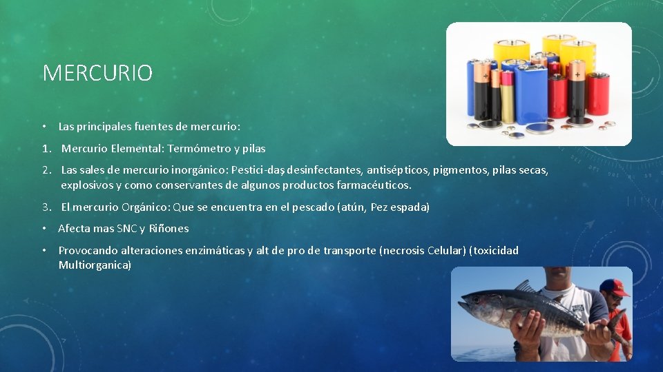 MERCURIO • Las principales fuentes de mercurio: 1. Mercurio Elemental: Termómetro y pilas 2.