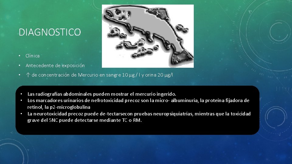 DIAGNOSTICO • Clínica • Antecedente de exposición • ↑ de concentración de Mercurio en