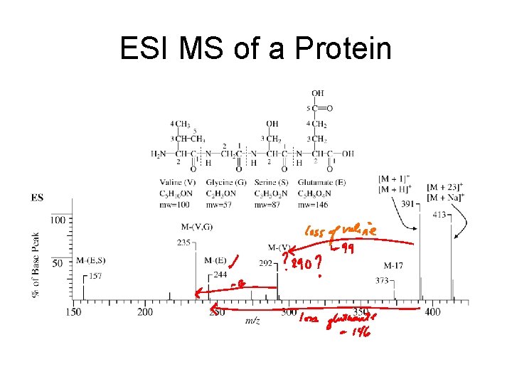 ESI MS of a Protein 