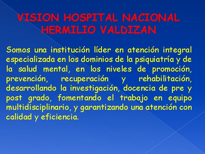 VISION HOSPITAL NACIONAL HERMILIO VALDIZAN Somos una institución líder en atención integral especializada en