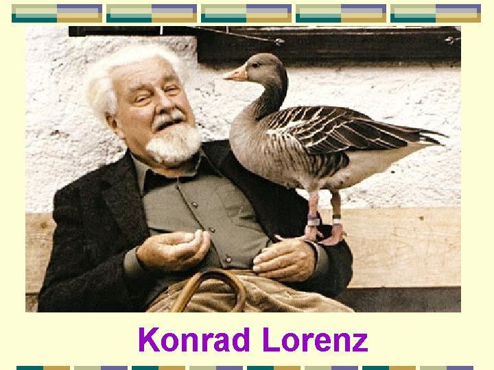 Konrad Lorenz 