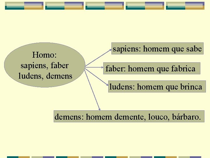 Homo: sapiens, faber ludens, demens sapiens: homem que sabe faber: homem que fabrica ludens: