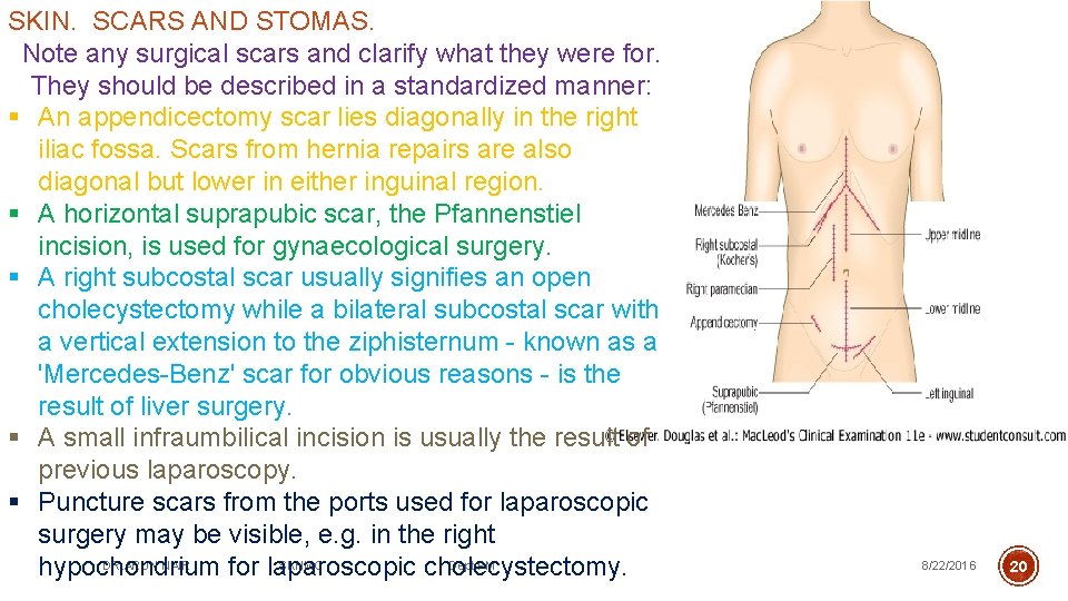 SKIN. SCARS AND STOMAS. Note any surgical scars and clarify what they were for.