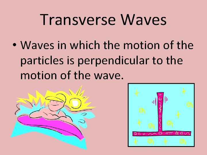 Transverse Waves • Waves in which the motion of the particles is perpendicular to