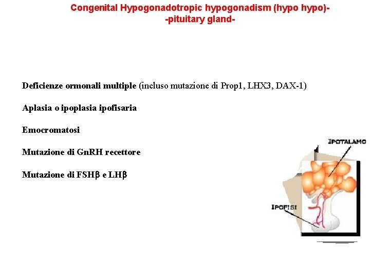 Congenital Hypogonadotropic hypogonadism (hypo)-pituitary gland- Deficienze ormonali multiple (incluso mutazione di Prop 1, LHX