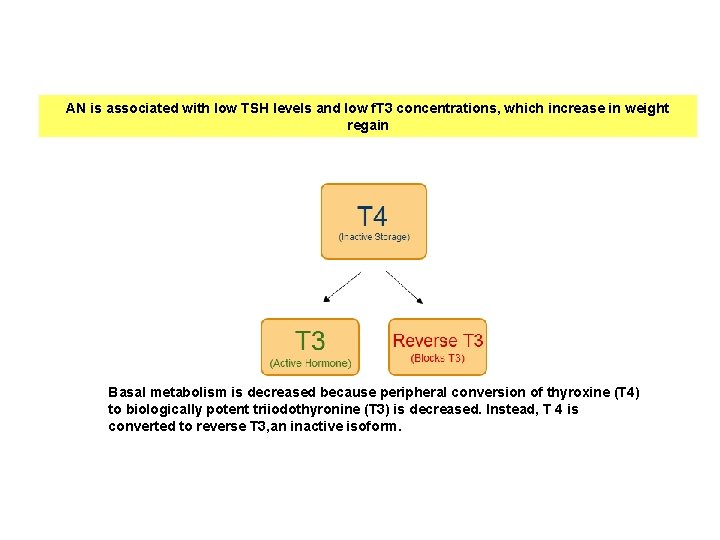 AN is associated with low TSH levels and low f. T 3 concentrations, which