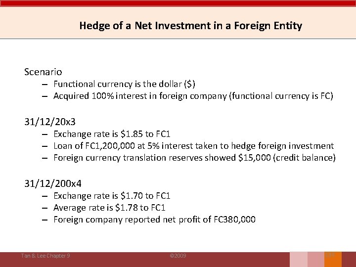 Hedge of a Net Investment in a Foreign Entity Scenario – Functional currency is
