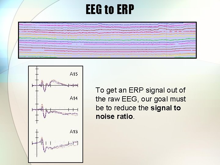 EEG to ERP To get an ERP signal out of the raw EEG, our