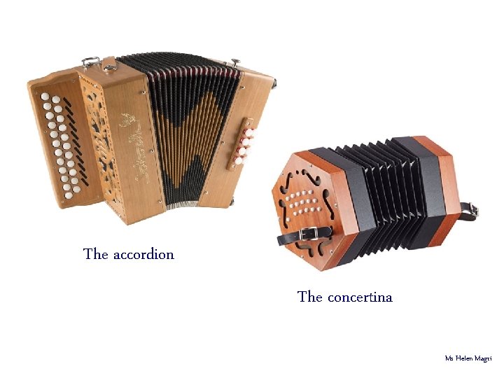 The accordion The concertina Ms Helen Magri 