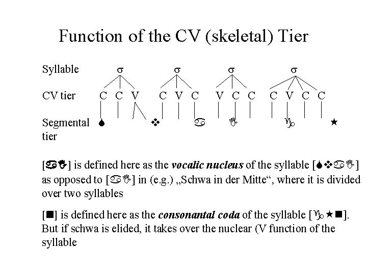 Function of the CV (skeletal) Tier Syllable CV tier C C V C C