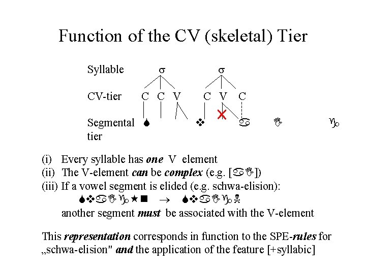 Function of the CV (skeletal) Tier Syllable CV-tier C C V C Segmental S