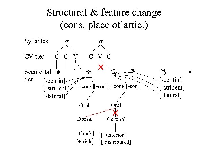 Structural & feature change (cons. place of artic. ) Syllables CV-tier C C V