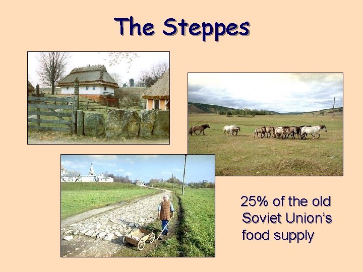 The Steppes 25% of the old Soviet Union’s food supply 