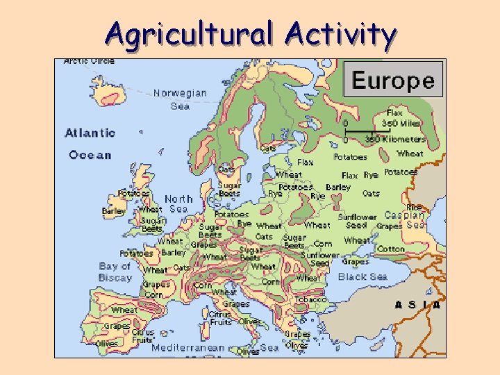 Agricultural Activity 