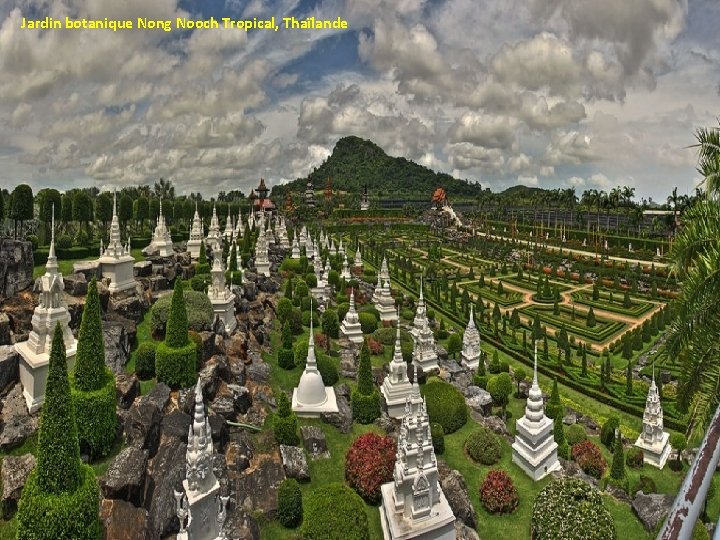 Jardin botanique Nong Nooch Tropical, Thaïlande 