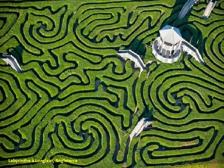 Labyrinthe à Longleat, Angleterre 