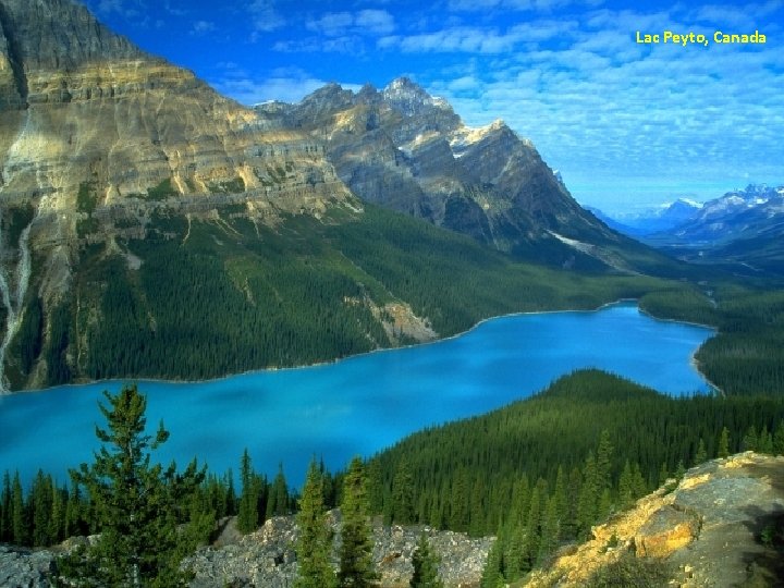Lac Peyto, Canada 