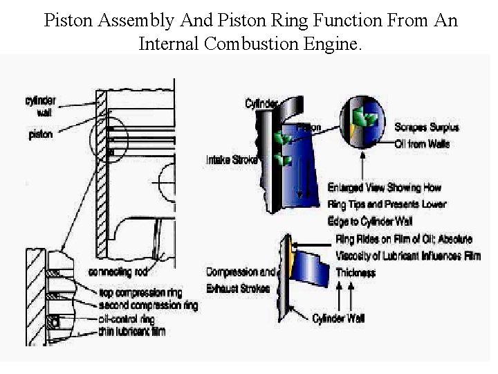 Piston Assembly And Piston Ring Function From An Internal Combustion Engine. 