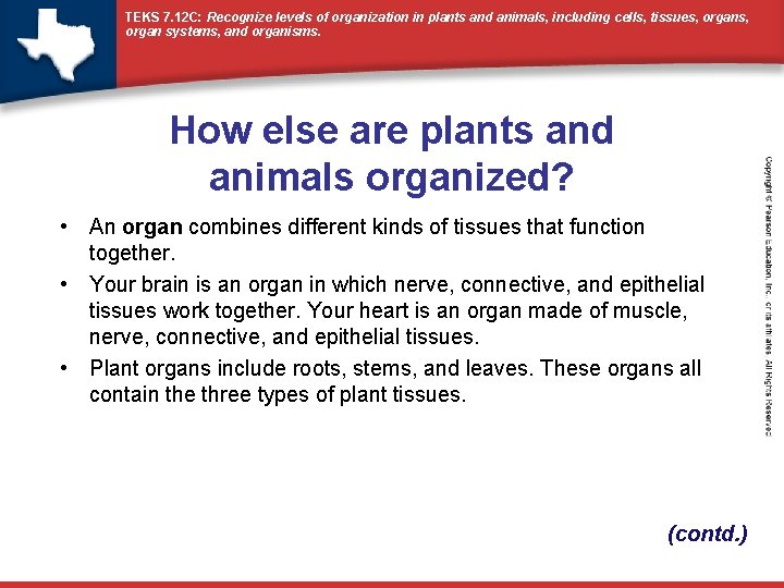 TEKS 7. 12 C: Recognize levels of organization in plants and animals, including cells,