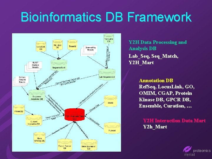 Bioinformatics DB Framework Y 2 H Data Processing and Analysis DB Lab_Seq, Seq_Match, Y