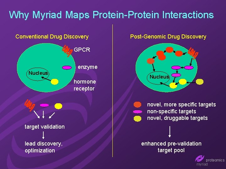 Why Myriad Maps Protein-Protein Interactions Conventional Drug Discovery Post-Genomic Drug Discovery GPCR enzyme Nucleus