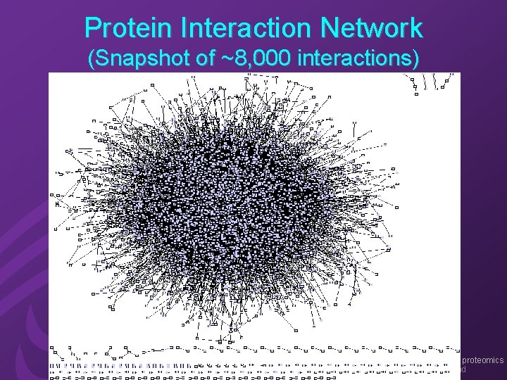 Protein Interaction Network (Snapshot of ~8, 000 interactions) proteomics myriad 