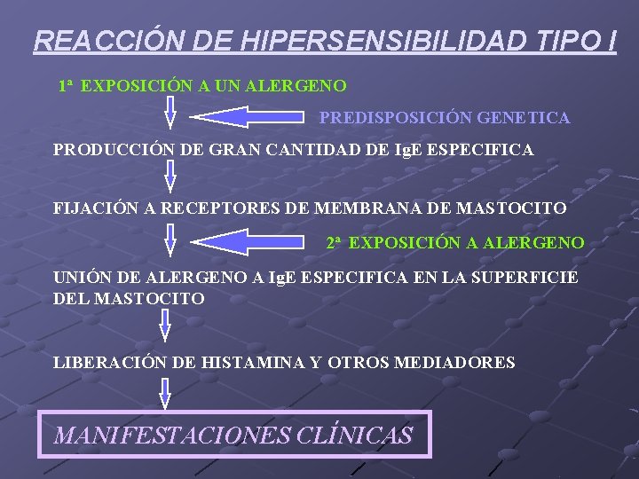 REACCIÓN DE HIPERSENSIBILIDAD TIPO I 1ª EXPOSICIÓN A UN ALERGENO PREDISPOSICIÓN GENETICA PRODUCCIÓN DE