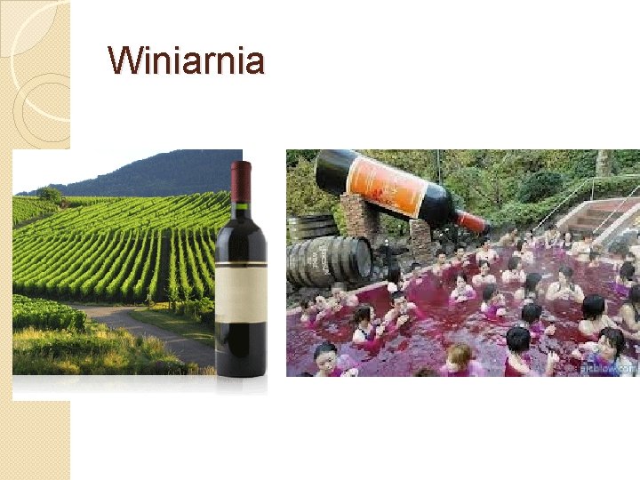 Winiarnia 