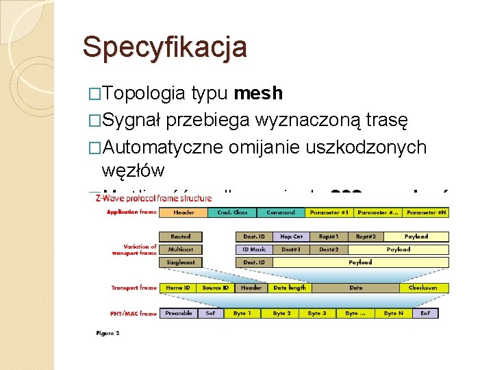 Specyfikacja �Topologia typu mesh �Sygnał przebiega wyznaczoną trasę �Automatyczne omijanie uszkodzonych węzłów �Możliwość podłączenia