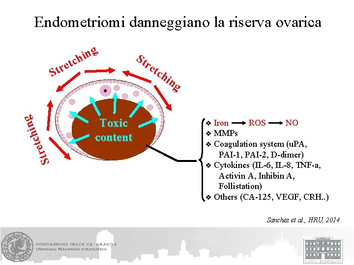 Endometriomi danneggiano la riserva ovarica g n i h c t re et r