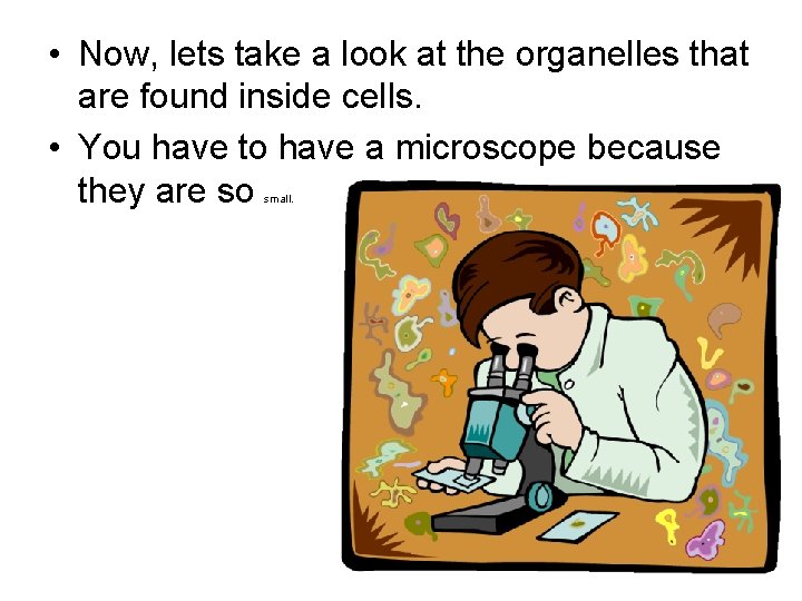  • Now, lets take a look at the organelles that are found inside