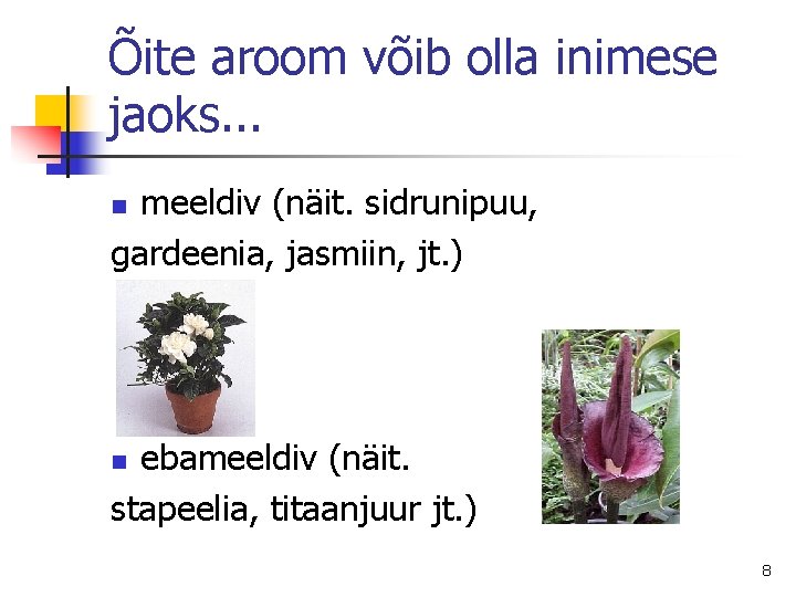 Õite aroom võib olla inimese jaoks. . . meeldiv (näit. sidrunipuu, gardeenia, jasmiin, jt.