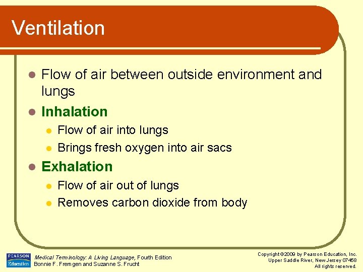 Ventilation Flow of air between outside environment and lungs l Inhalation l l Flow
