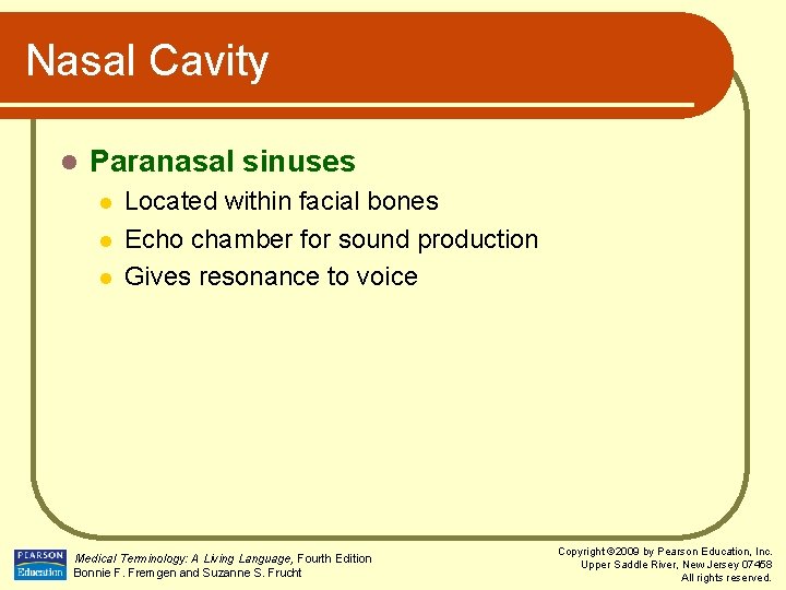 Nasal Cavity l Paranasal sinuses l l l Located within facial bones Echo chamber
