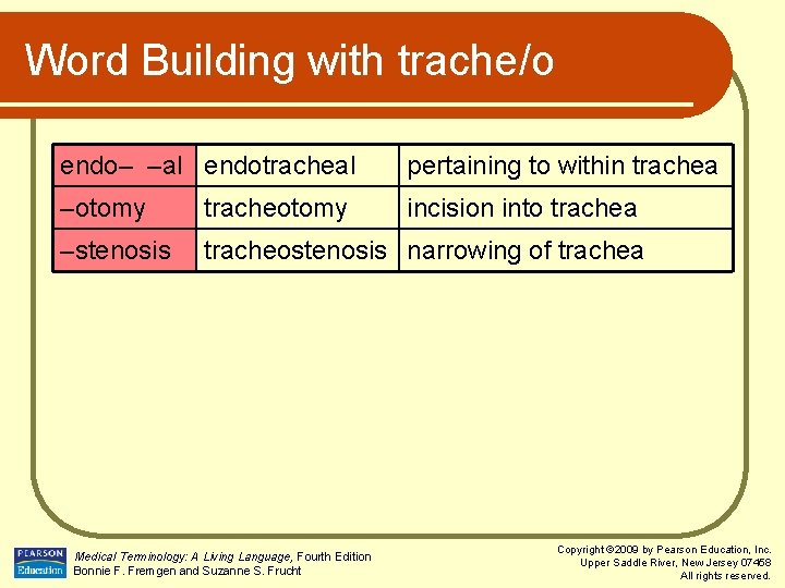 Word Building with trache/o endo– –al endotracheal pertaining to within trachea –otomy tracheotomy incision