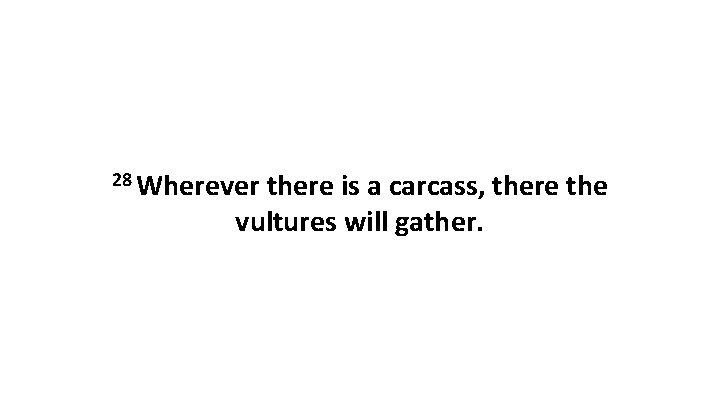 28 Wherever there is a carcass, there the vultures will gather. 