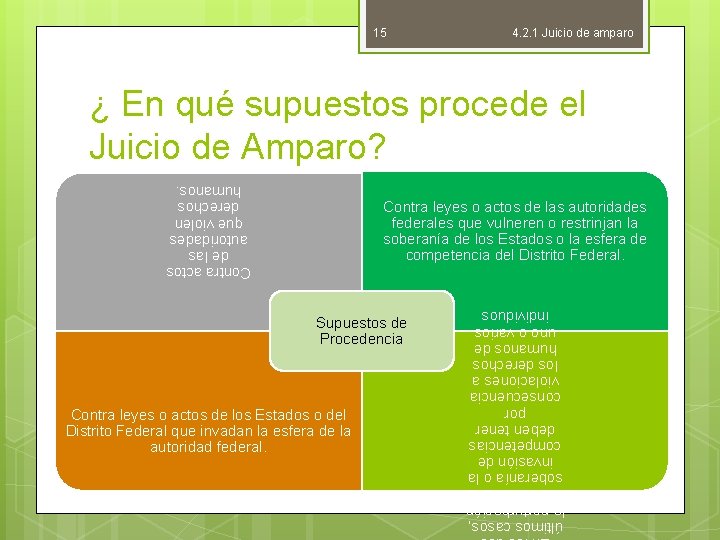 15 4. 2. 1 Juicio de amparo ¿ En qué supuestos procede el Juicio